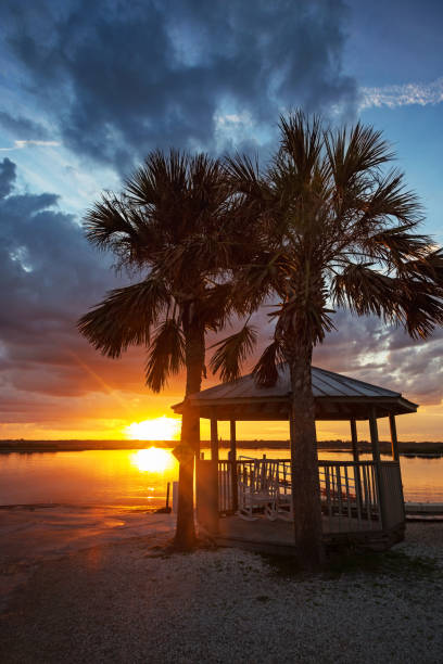 istock Palm Trees and Gazebo at Sunset 936650470