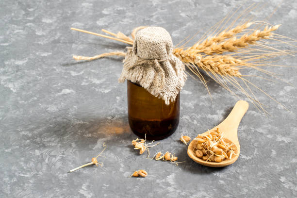 istock Fresh germinated wheat seeds and wheat germ oil 936659028