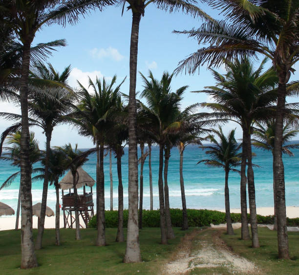 istock Playa Delfines Beach Located In Cancun Mexico 936670154