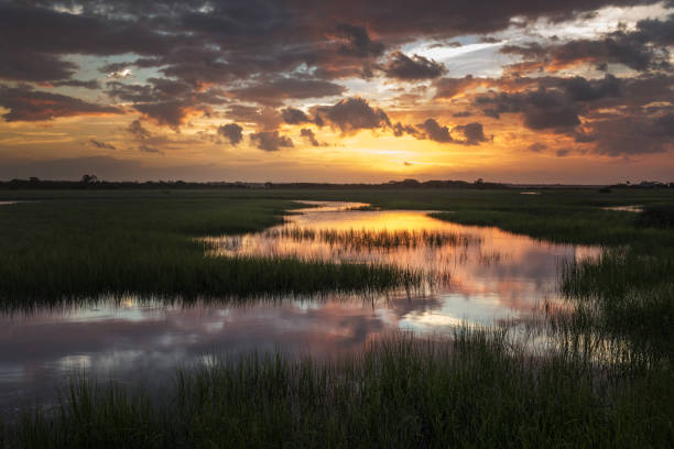 istock Golden Trails on the Salt Marsh 936670692