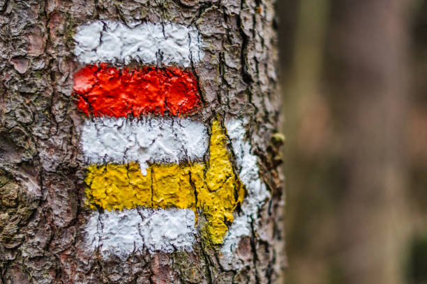 istock Tourist color sign on the tree with an arrow 936672010