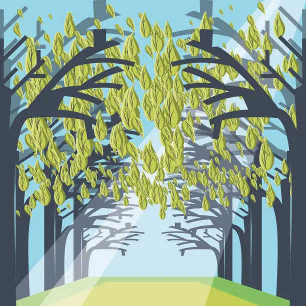 Vector illustration of pathway through a dense forest landscape