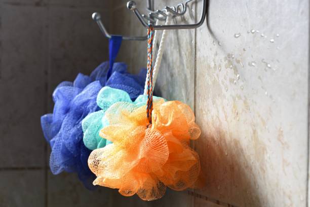 Loofah Rainbow Light catches loofahs hanging from a rack. loofah photos stock pictures, royalty-free photos & images