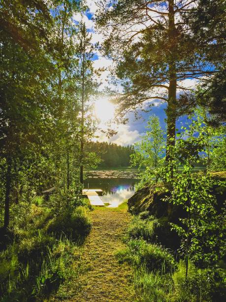 path leading to the dock on the lake