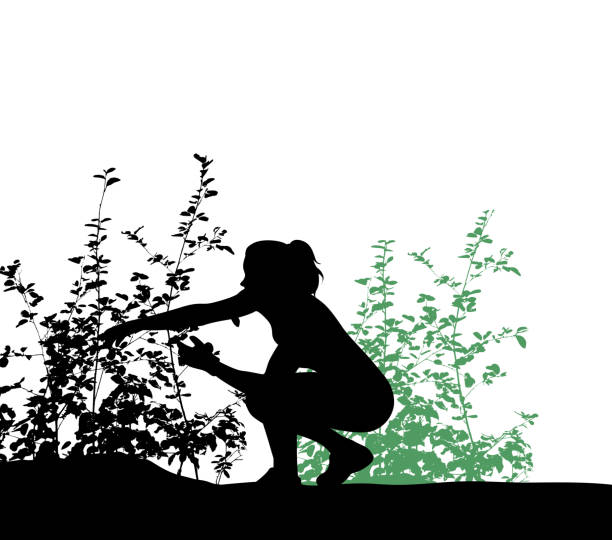 Pruning Wildberry Bushes Young woman bending down to take care of a rose bush in the garden gardening silhouettes stock illustrations