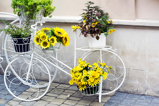 A fresh bouquet of sunflowers set on a cozy, rustic porch.
