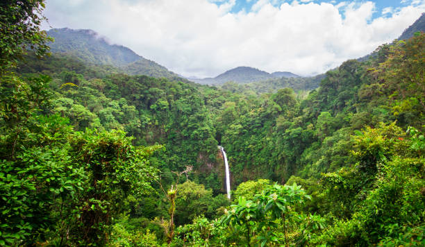 istock La Fortuna Waterfall and Costa Rican Jungle 936705768