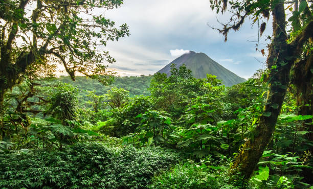 вулкан арнал и коста-рики джунгли - volcanic mountains стоковые фото и изображения