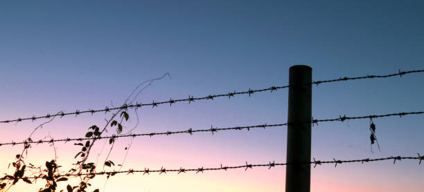 istock silhouette of Barbed wire on sunset background 936710976
