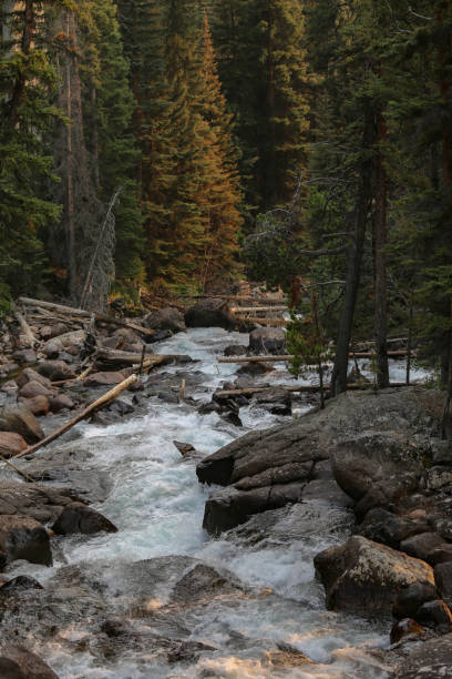 istock Lake Creek Falls Waterfall Cascades, Beartooth Highway, Wyoming 936711588