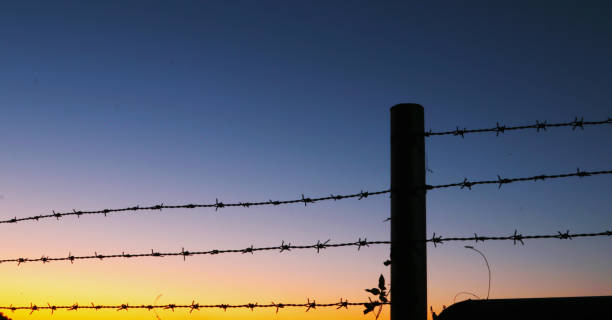 istock silhouette of Barbed wire on sunset background 936715764