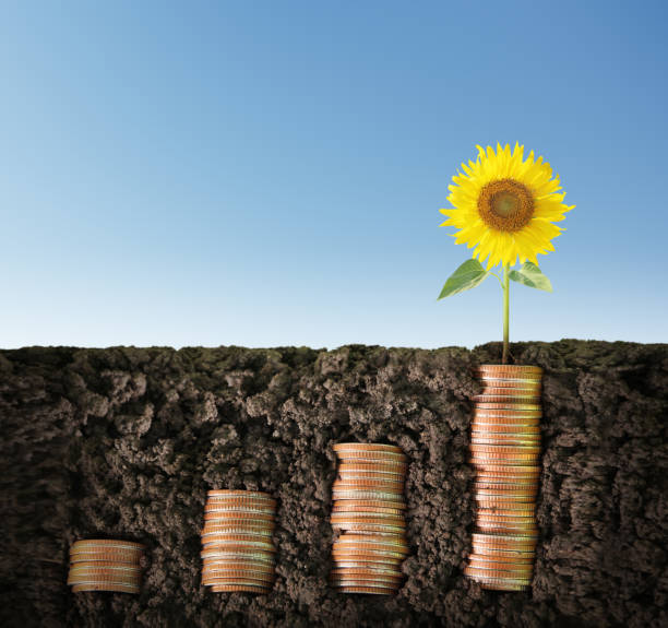 istock Investment concept, Coins graph stock 936725384