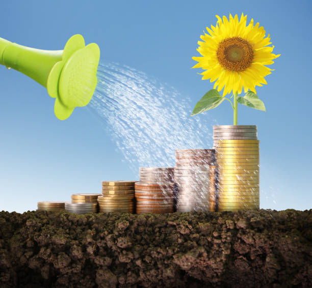 istock Investment concept, Coins graph stock 936725398