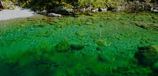 istock Little North Santiam River Freshwater 936728180