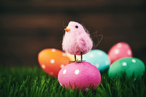 Vibrant polka dot Easter egg background with pink Easter chick