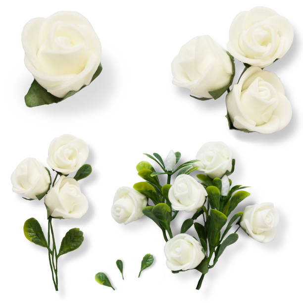 istock Set with white made roses and leaves for graphic design isolated on white background 936736068