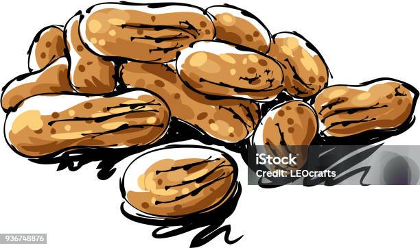 Peanuts Drawing Stock Illustration - Download Image Now - Peanut - Food, Nut - Food, Brush Stroke