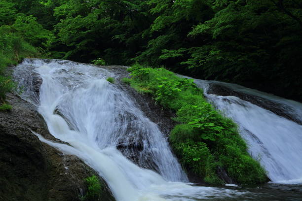 istock Kamabuchi waterfall in the summer 936758284