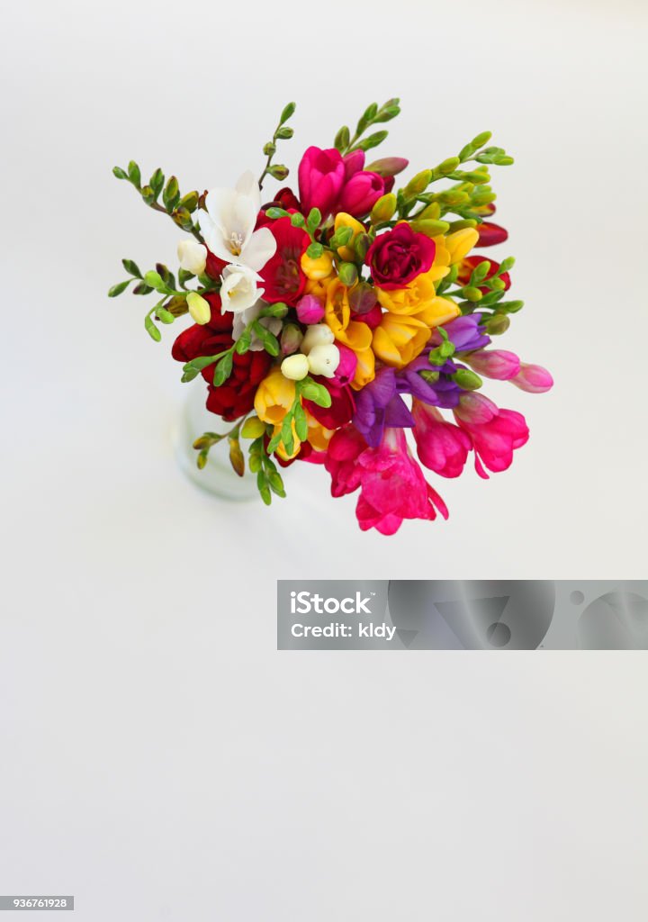 Colored Freesias Bouquet Colored Freesias Bouquet