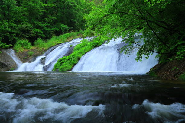 istock Kamabuchi waterfall in the summer 936762360