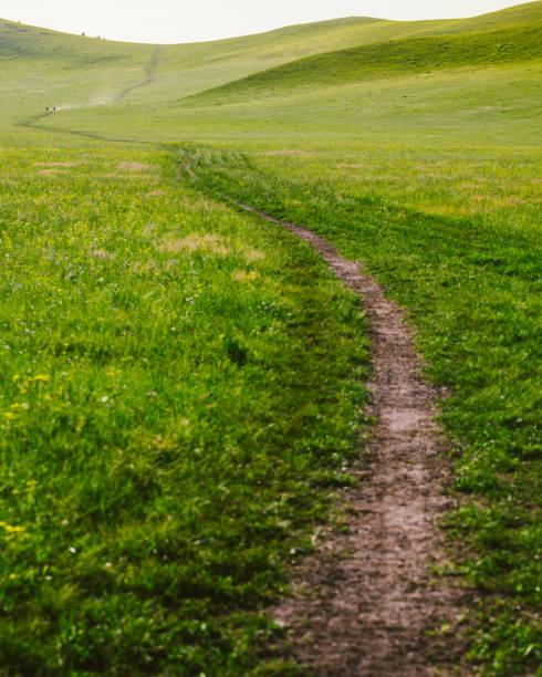 istock road of grassland 936765026