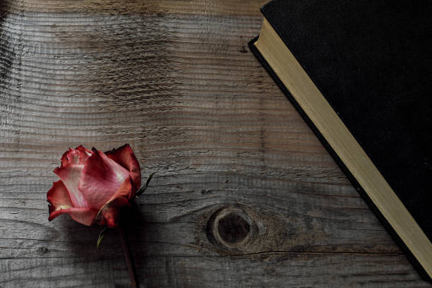 istock Dried pink rose and old book on wooden background, copy space 936766270
