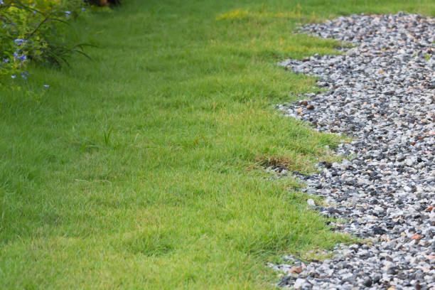 istock green grass and rocks in garden background,gardening, 936776574