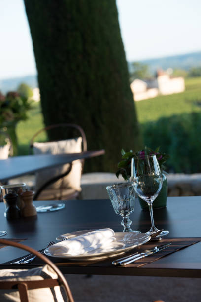 istock Gastronomy-Restaurant - Luxury -Terrace in summer - Vineyard 936777234