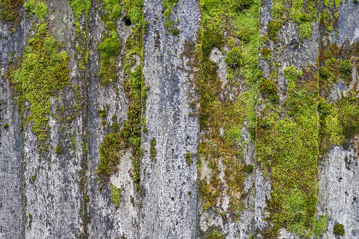 Old painted wall and Old wall with moss