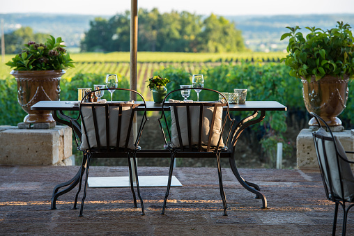 Gastronomy-Restaurant - Luxury -Terrace in summer - Vineyard, France