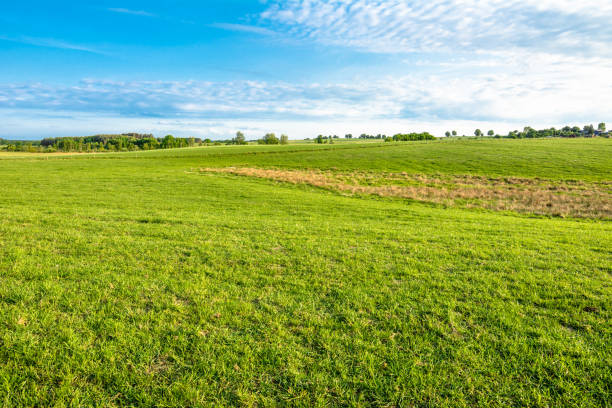 istock Spring meadow and blue sky, countryside field with green grass 936789866