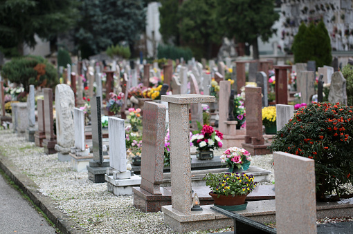 cemetery with many tombs and tombstones without people
