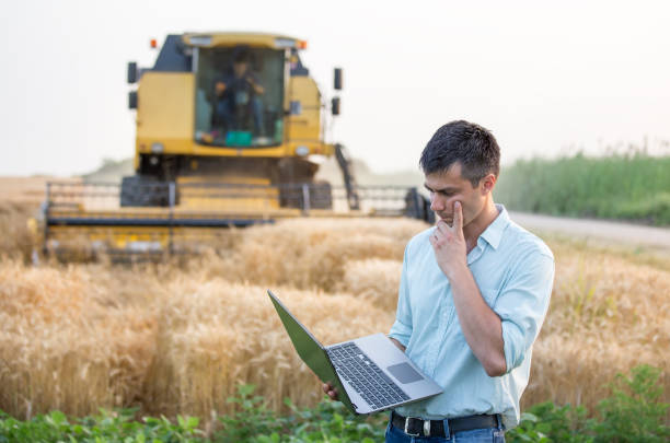 Engineer standing in field with combine harvester in background stock photo