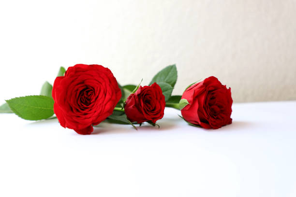 istock Red Rose Multipurpose Background for Anniversary, Wedding, Birthday or other Celebrations 936812168