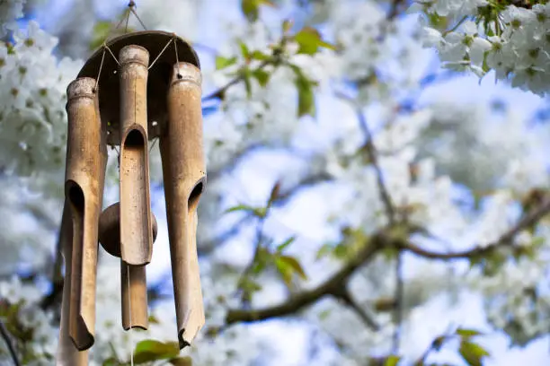 garden decoration, wind chimes hanging in a blooming tree