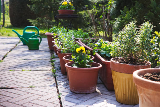 istock Many flower pots as a decoration in the garden at spring, 936813428
