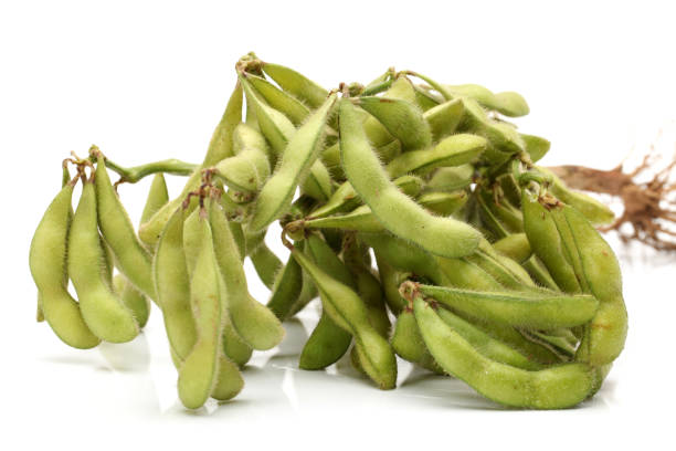 istock Green soybean and leaves on a white background 936821256