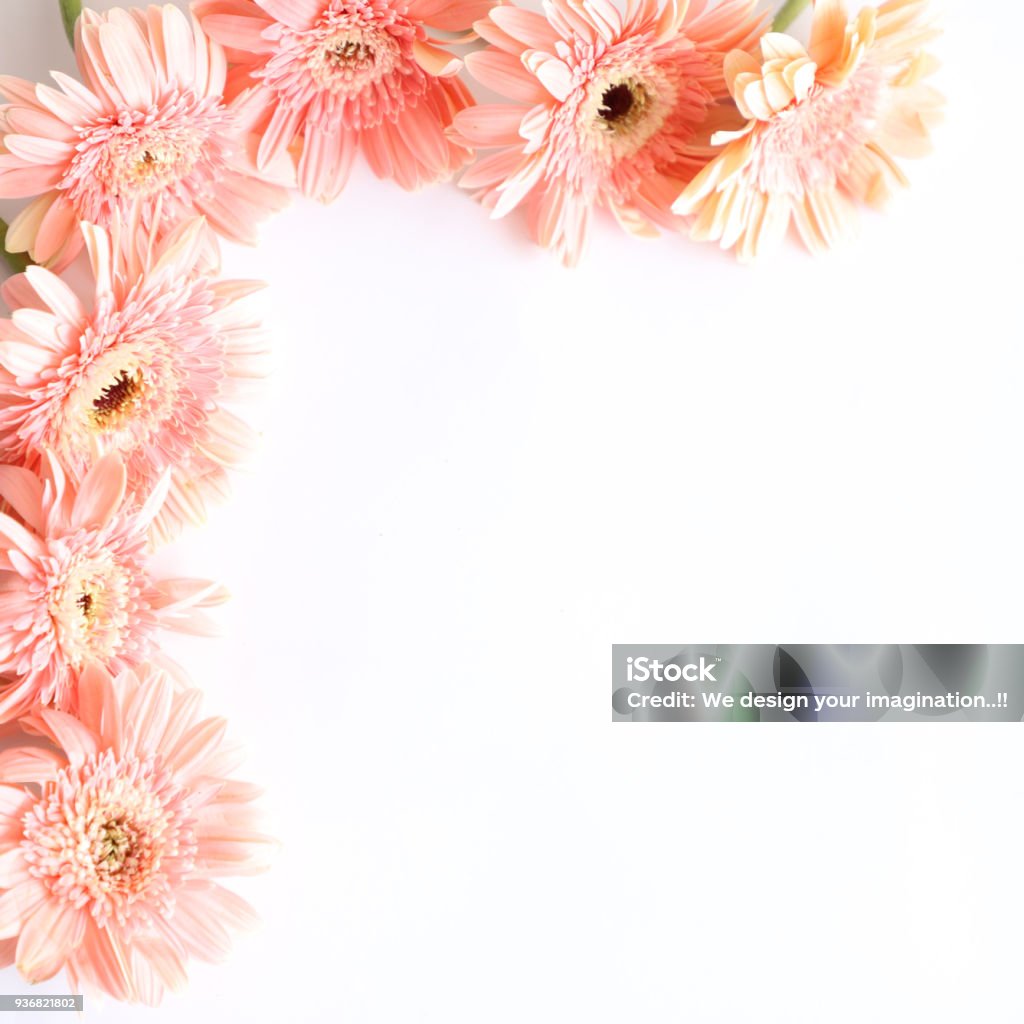 Flores Rosas Sobre Fondo Blanco Para Aniversario Cumpleaños Boda Marco Floral Foto de stock y más banco de imágenes de Aniversario - iStock Flores Rosas Sobre Fondo Blanco Para Aniversario Cumpleaños Boda Marco Floral Foto de stock y más banco de imágenes de Aniversario - iStock