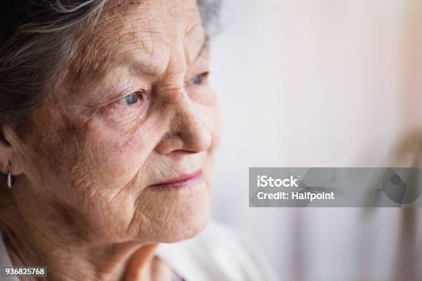 Portrait Of A Senior Woman At Home Stock Photo - Download Image Now - Senior Women, Senior Adult, Close-up