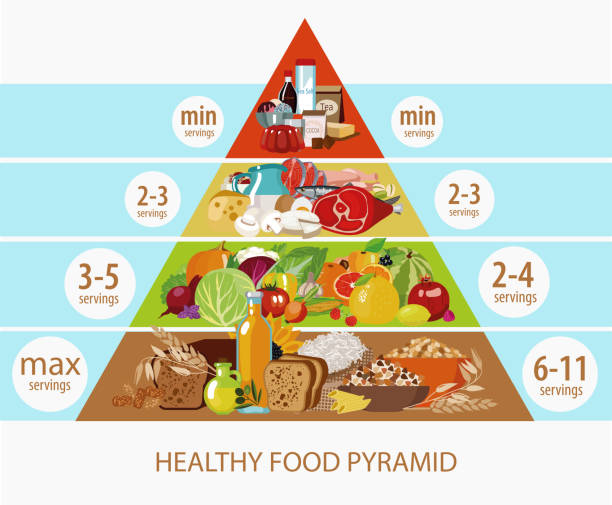 Food pyramid. Food pyramid. Daily intake of food. The recommended number of servings of food. Natural organic food - cereals, dairy products, meat, fish, vegetables, fruits. grain and cereal products stock illustrations