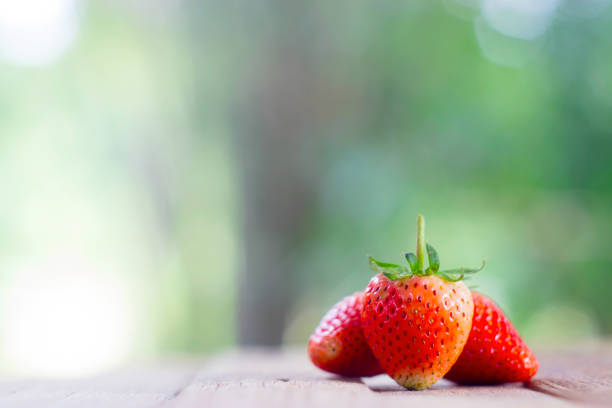 istock background from freshly harvested strawberries on wood table, directly above 936828640