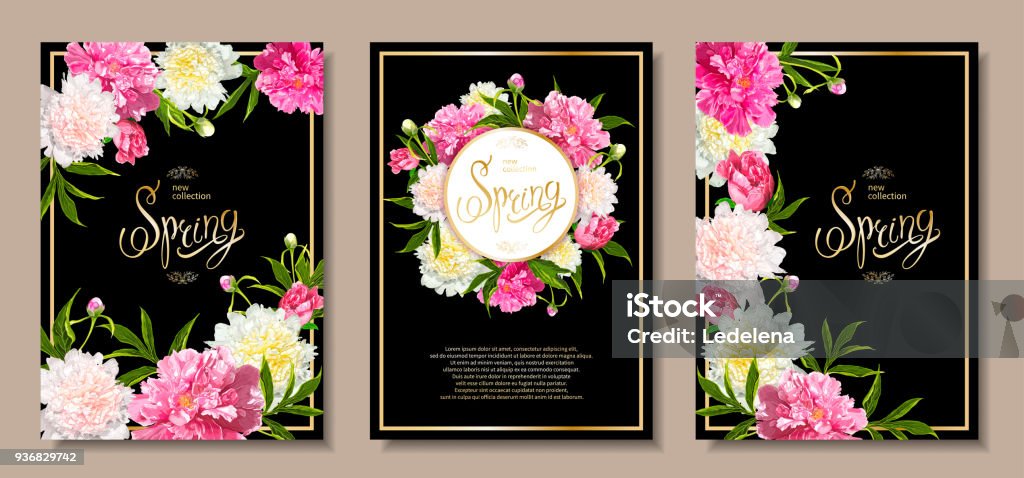 Spring collection backgrounds with peones Set of three floral backgrounds with blooming pink and light yellow peonies, buds, green leaves. Inscription Spring. Template for card, banner on 8 March, Mothers Day, Birthday, Sale, Wedding Flower stock vector