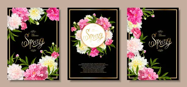 Vector illustration of Spring collection backgrounds with peones