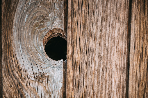 Single dark wood knot in in the wooden textured plank background of old aged timber