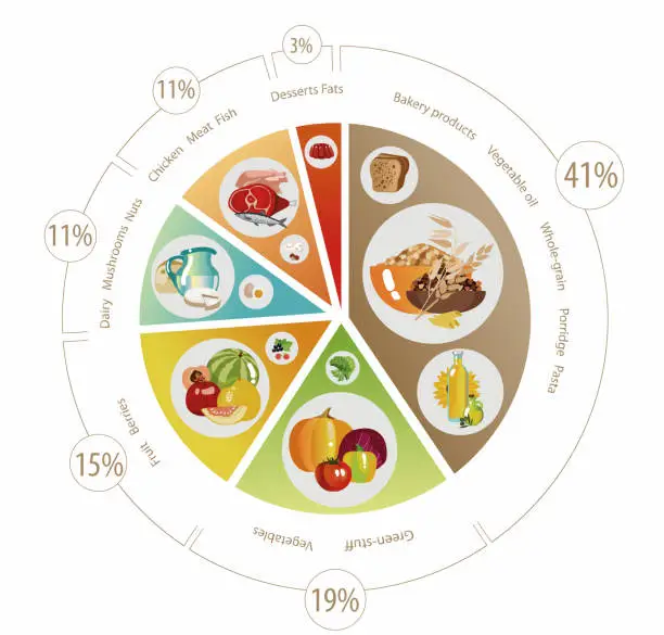 Vector illustration of Food pyramid of  pie chart