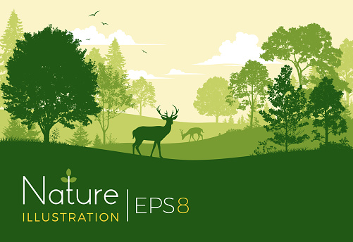 Nature Background with forest, hills and deer.