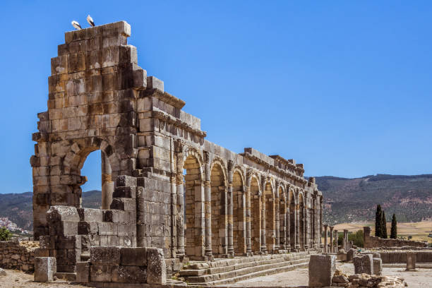 istock The Volubilis site in Morocco 936833996