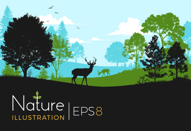 ilustraciones, imágenes clip art, dibujos animados e iconos de stock de fondo de bosque con ciervos - wildlife