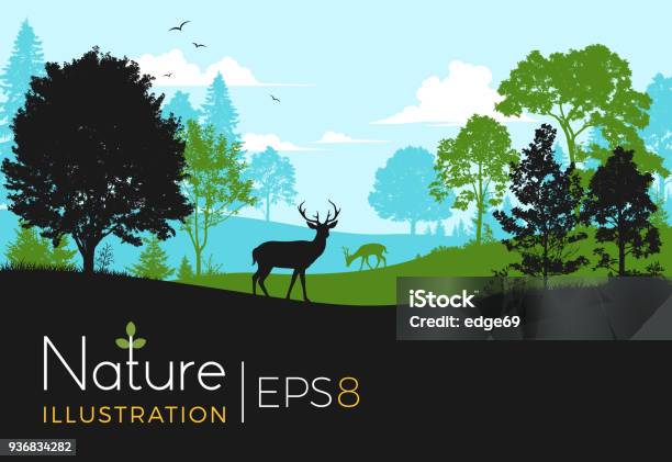 Forest Background With Deer Stock Illustration - Download Image Now - In Silhouette, Forest, Deer