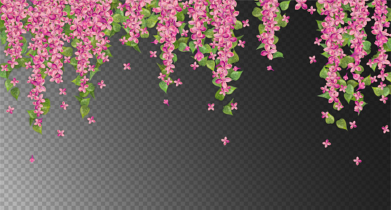 Vector floral background. Pink hanging flowers and leaves